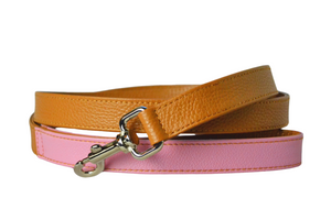 Leather dog leash with brown and pink sections on a white background