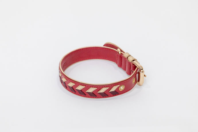 La Dorada Dog Collar, handmade in leather with arrow design  and gold plated hardware.