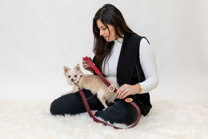 Woman holding a chihuahua wearing a red leather dog collar and leash with personalized pins.