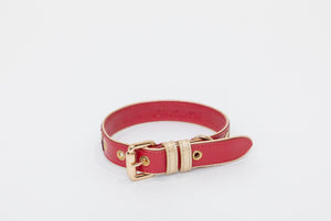 La Dorada Dog Collar, handmade in leather with arrow design  and gold plated hardware.