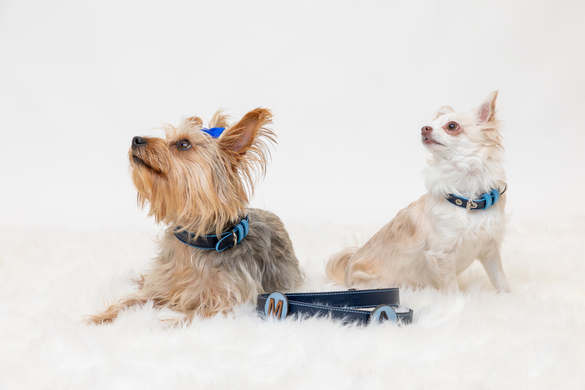 Genuine Leather Dog Leash For Small Dogs – 45" Long, 3/8" Wide – Yorkshire Terrier Size