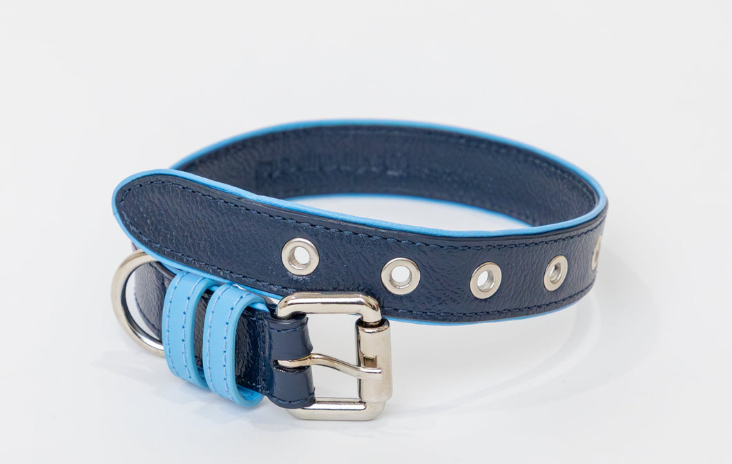 Signature designer leather dog collar in navy blue leather with light blue leather trim and nickel hardware.