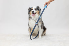 Load image into Gallery viewer, Dog wearing a handmade designer navy leather dog leash with pin attachment