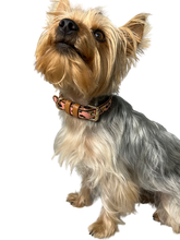 Load image into Gallery viewer, Calf Hair Dog Collar - Pink Leopard