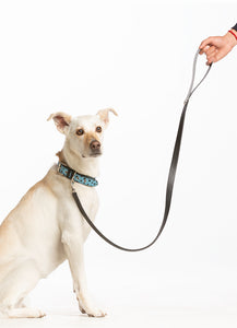 Calf Hair Dog Collar - Black Stars