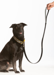 Calf Hair Dog Collar - Spots