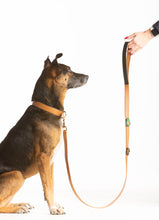 Load image into Gallery viewer, Signature Dog Leash - Brown Leather