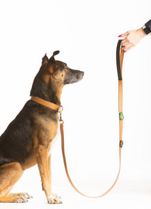Signature Dog Leash - Brown Leather