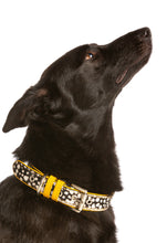 Load image into Gallery viewer, Calf Hair Dog Collar - Spots