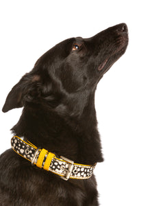 Calf Hair Dog Collar - Spots