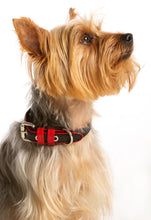 Load image into Gallery viewer, Signature dog collar - Black Leather