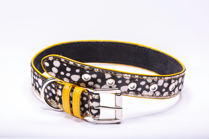 Calf Hair Dog Collar - Spots