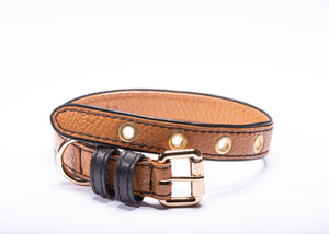 Strapets brand luxury leather dog collar. The dog collar is handmade with gold plated nickel hardware, camel color leather with black trim detail.