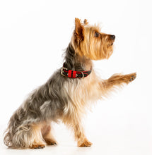 Load image into Gallery viewer, Signature dog collar - Black Leather